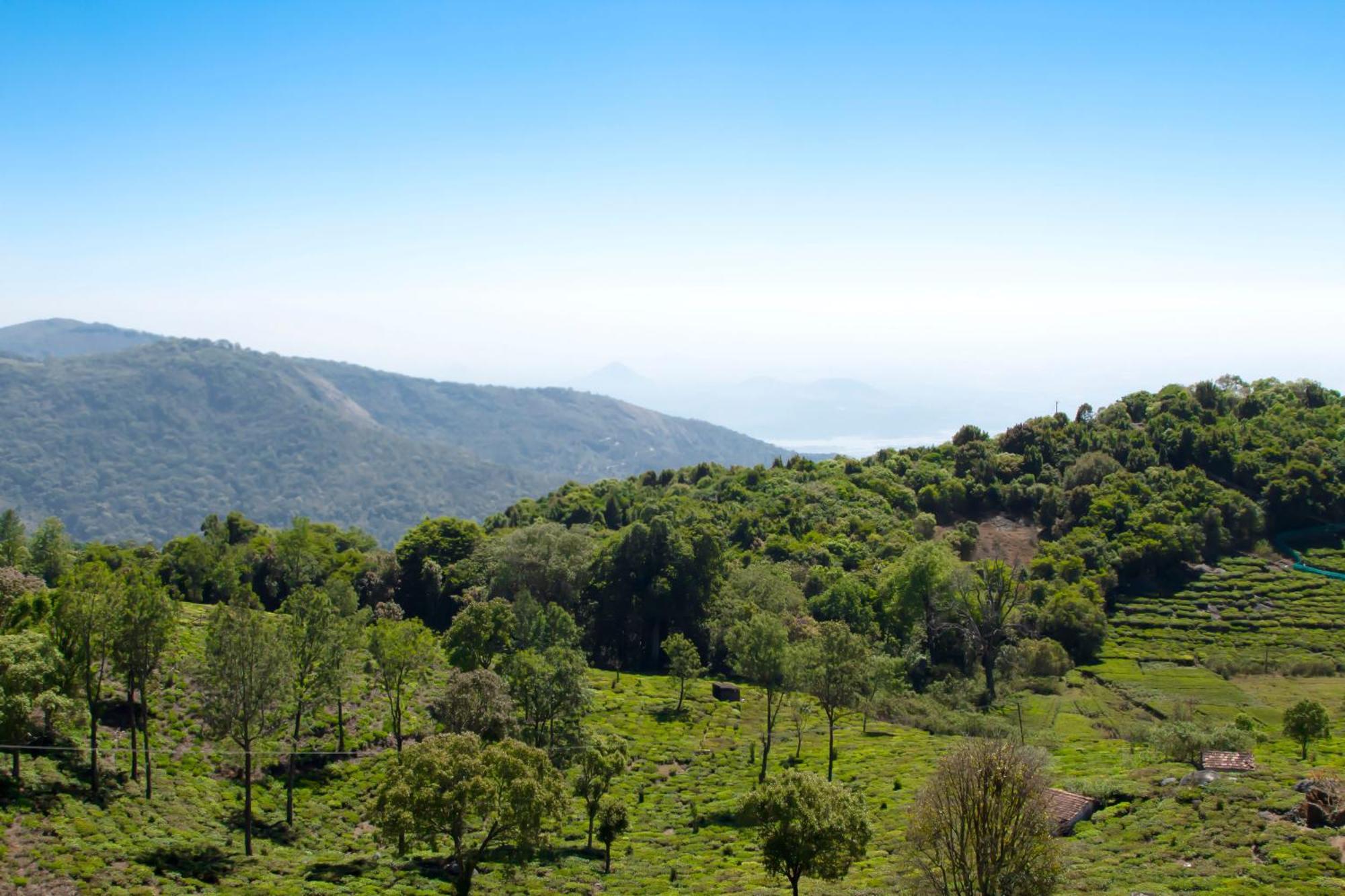 The Royale Ridge Hotel Kotagiri Bagian luar foto